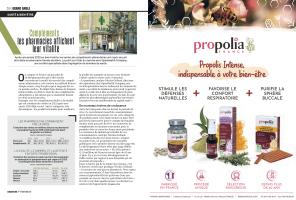 Page 38 et 39