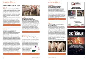 Page 84 et 85