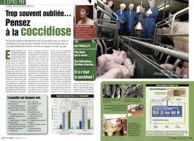 Page 146 et 147
