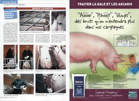 Page 38 et 39