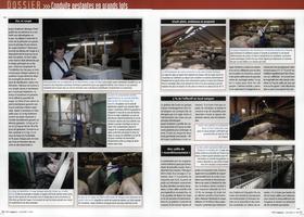 Page 50 et 51
