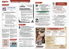Page 80 et 81
