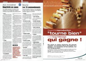 Page 20 et 21