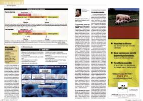 Page 60 et 61