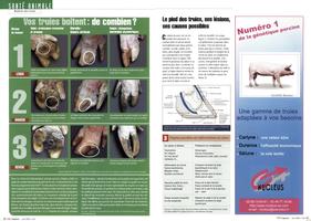 Page 62 et 63