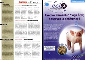 Page 10 et 11