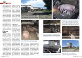 Page 60 et 61