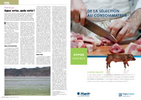 Page 16 et 17