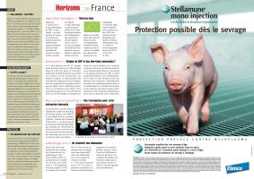 Page 36 et 37