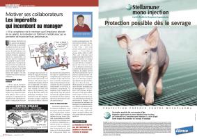 Page 16 et 17