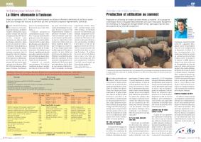 Page 14 et 15