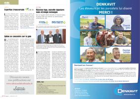 Page 14 et 15