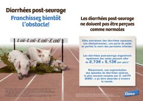 Page 36 et 37