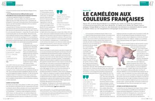 Page 46 et 47