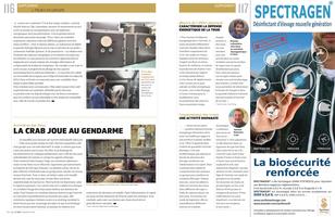 Page 116 et 117