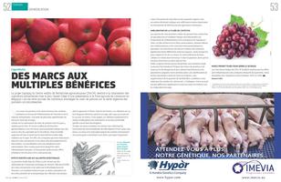 Page 52 et 53