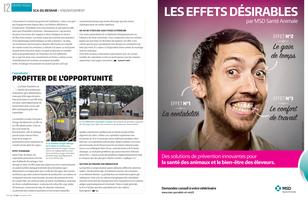 Page 12 et 13
