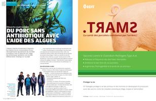 Page 16 et 17
