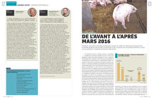 Page 12 et 13