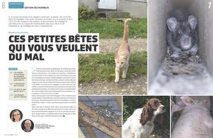 Page 6 et 7