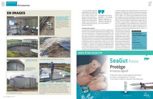 Page 16 et 17