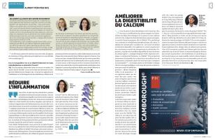 Page 12 et 13