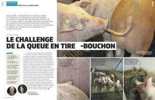 Page 6 et 7