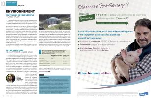 Page 10 et 11