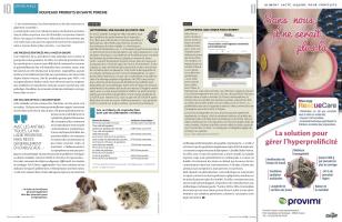 Page 10 et 11