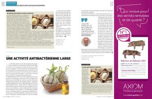 Page 16 et 17