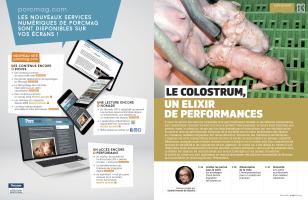 Page 82 et 83