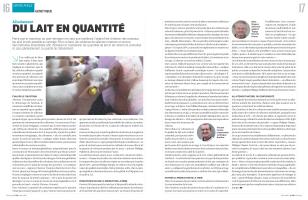 Page 16 et 17