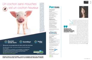 Page 2 et 3