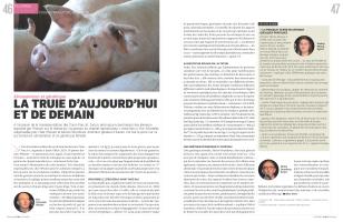 Page 46 et 47