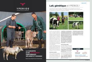 Page 136 et 137