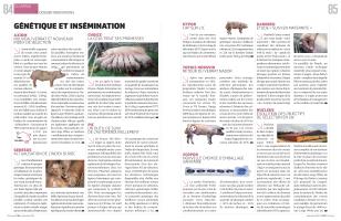 Page 84 et 85