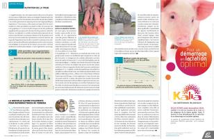 Page 10 et 11