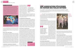 Page 48 et 49