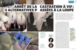 Page 6 et 7
