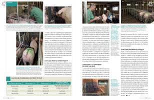 Page 42 et 43