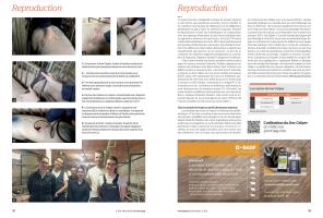 Page 42 et 43