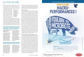 Page 10 et 11