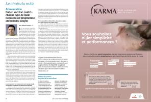 Page 12 et 13
