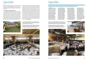 Page 16 et 17