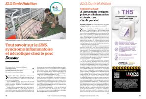 Page 48 et 49
