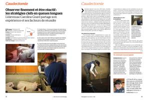 Page 32 et 33