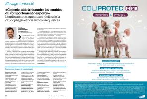 Page 10 et 11