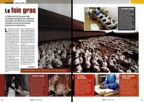 Page 52 et 53