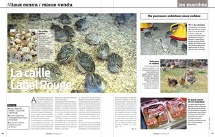 Page 46 et 47