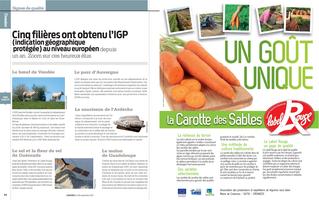 Page 54 et 55